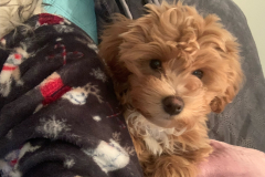69916138-0C95-4043-98CF-AF35A51A0B94