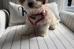 70B335FC-3BEA-4E7A-AF73-3B5224AEEC0D