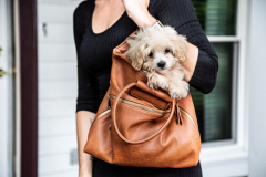 Family-Teddy-Bears-Photo-12