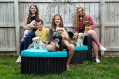 Family-Teddy-Bears-Photo-13