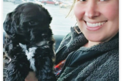 FamilyTeddyBears_Belle_LhasaApso_Poodle_LhasaPoo_Chey