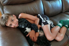 FamilyTeddyBears_Chase_Belle_LhasaPoo
