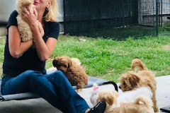 FamilyTeddyBears_Denise