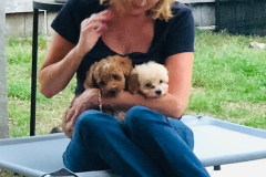 FamilyTeddyBears_Denise_2