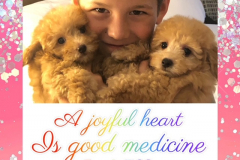 FamilyTeddyBears_Greyson_Pomapoo