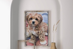 FamilyTeddyBears_LhasaPoo_Bichon_Maltese_12