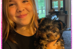 FamilyTeddyBears_Nora_Yorkie