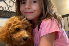 FamilyTeddyBears_ToyPoodle_4