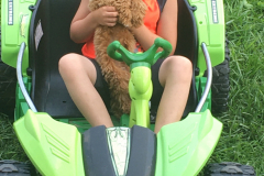 FamilyTeddyBears_ToyPoodle_Boy3