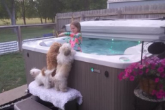 FamilyTeddyBears_hottub_ToyPoodle_LhasaApso_Maltese