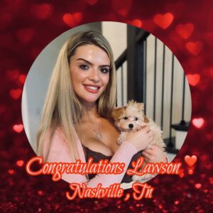 Willow - Teacup MaltiPoo Crew