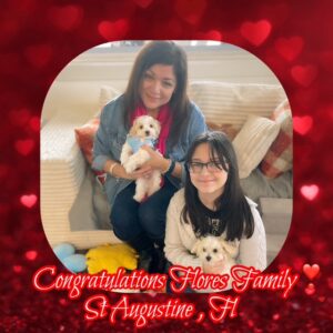 Congrats! 🎉  Tater - MaltiPoo