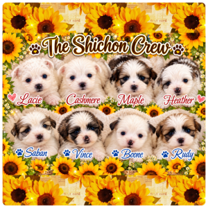 ShiChon Babies